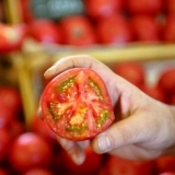 Kako hraniti paradajz da brže sazre